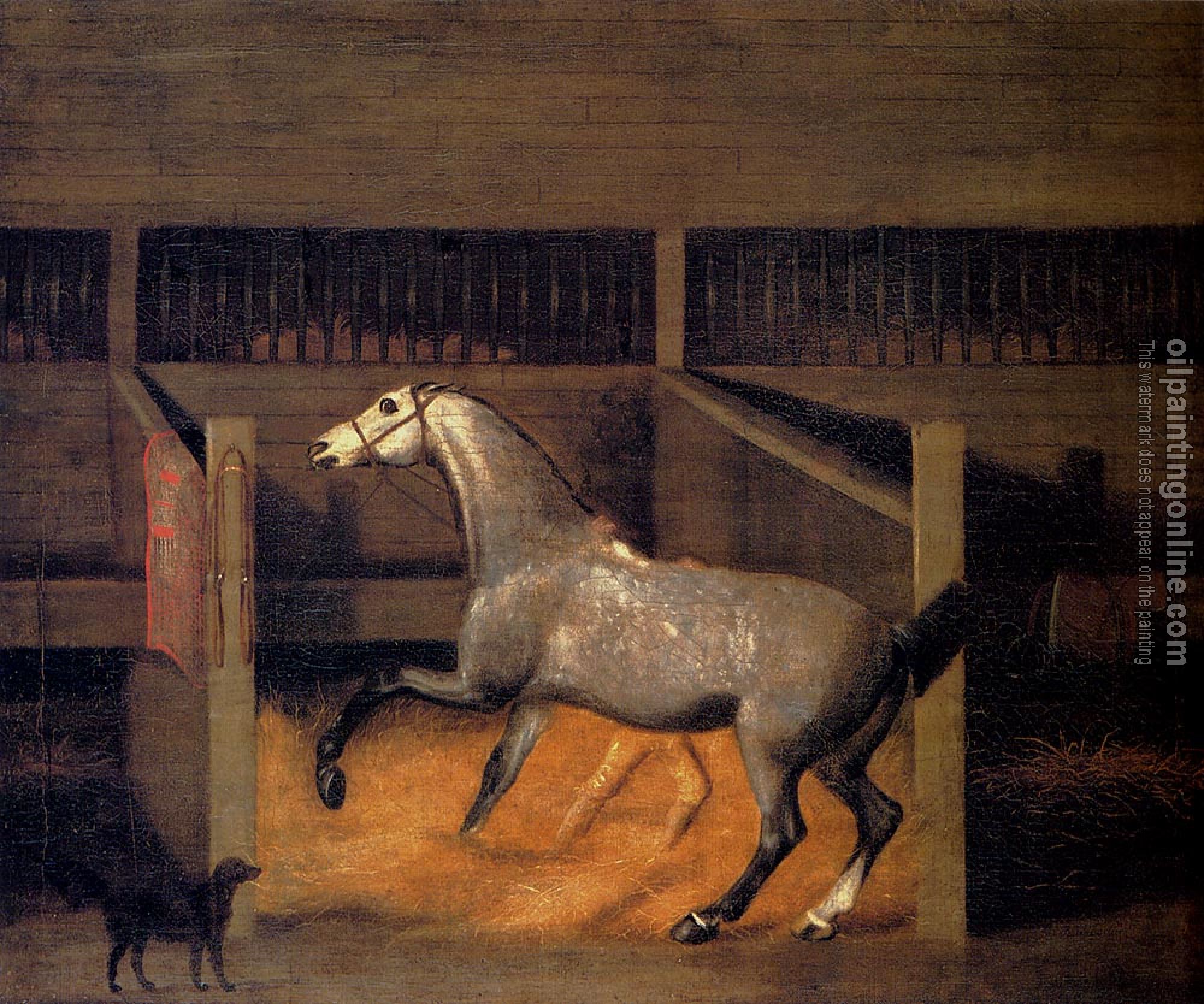Francis Sartorius - A Dappled Grey In A Stall